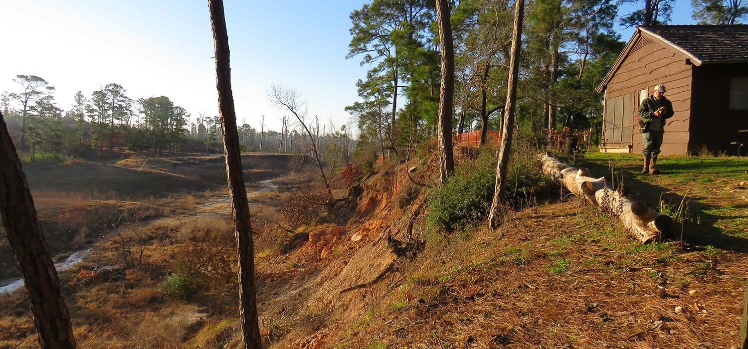 Park restoration in Bastrop Texas